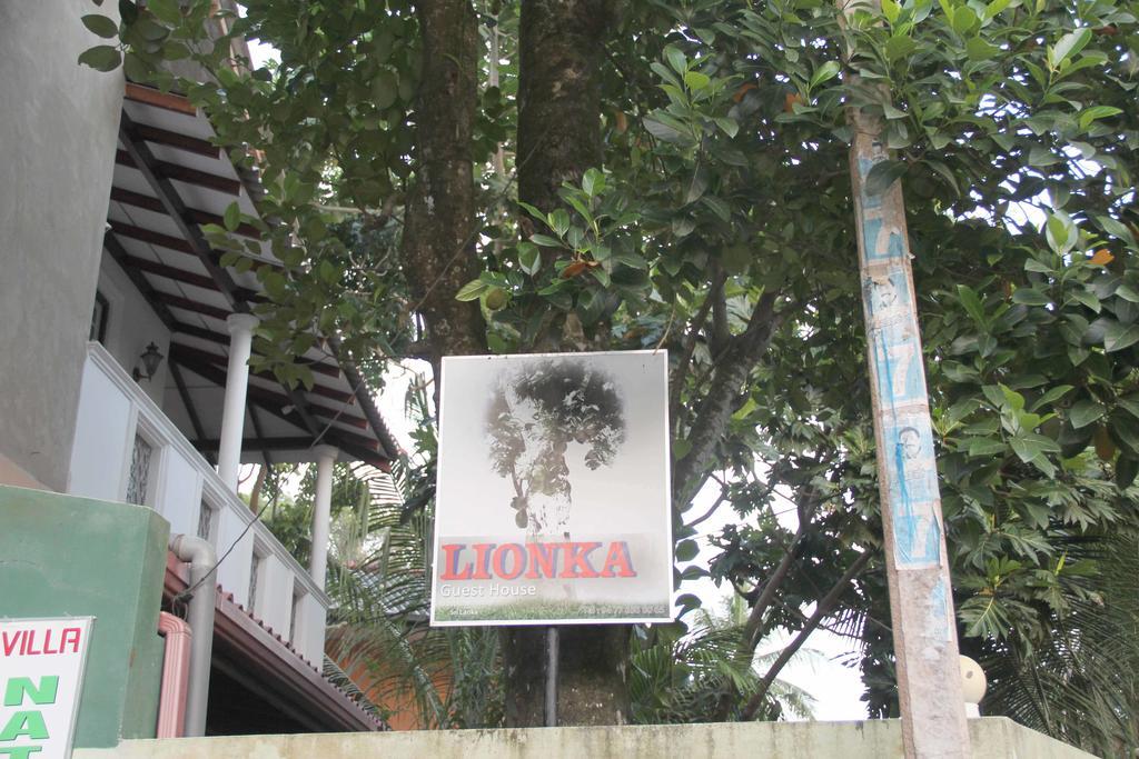 Lionka Guesthouse Mirissa Εξωτερικό φωτογραφία